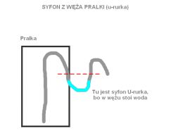 Plumbing Installation: Is a Siphon Required for Separate Dishwasher and Washing Machine Connections?