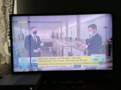 Dlaczego na ekranie Toshiby 40RL838 pojawiają się pionowe pasy?