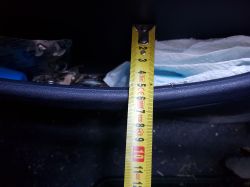 Jaki zestaw audio wybrać? CA od podstaw w Ford Puma.