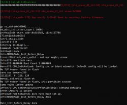 Screenshot of console showing logs related to firmware flashing process.