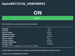 OpenBK7231N Interface with Meter Reading Errors OpenBK7231N user interface with reading errors