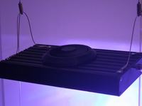 LEDowe oświetlenie do akwarium