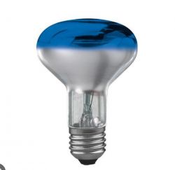 Light bulb with a blue filter on top.