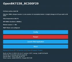 Flashing OpenBeken on BK7238 Module (WB43-M5 V1.1) with Surplife App