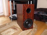 Budżetowy subwoofer na SW.STX.8.2.300.2x2.F.S.PC Budżetowy subwoofer na SW.STX.8.2.300.2x2.F.S.PC