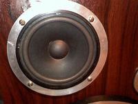 Renowacja i regeneracja altusów 75 od podstaw