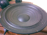 Subwoofer na głośniku Prosonic