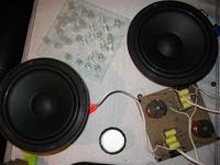 Subwofer na głośniku alphard LW1200 max.240W.