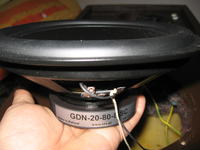 STX czy naprawdę jest to zamiennik Tonsila?