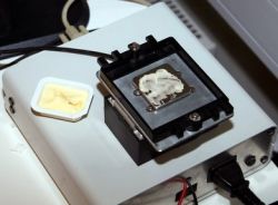 Jak się nie ma, co się lubi...