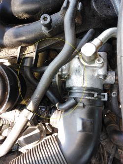 Octavia 1u 1.6 sr + LPG - Kuleje na gazie i szarpie przy stałej prędkości Octavia 1u 1.6 sr + LPG - Kuleje na gazie i szarpie przy stałej prędkości