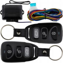 Zakup i programowanie oryginalnego pilota do centralnego zamka w Skoda Fabia 2004 1.2 HTP GAZ LPG