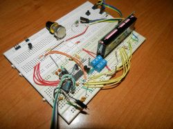 [Atmega8][bascom] Wyświetlacz LCD nie pokazuje zmiennej ani tekstu