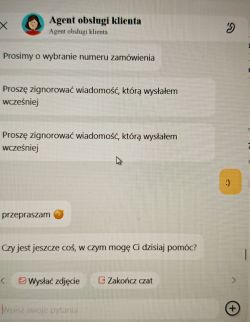Zrzut ekranu czatu z agentem obsługi klienta na AliExpress z wymianą wiadomości.
