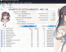 Zrzut ekranu z programu CrystalDiskInfo pokazujący stan dysku SSD GIGABYTE o pojemności 480,1 GB.