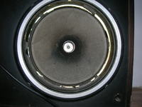 Wymiana,naprawa głosniczków.Jakie?