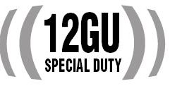 Nadstawki 100 W rms 101dB ,beyma 12GU + GDWT 9/100 FP Nadstawki 100 W rms 101dB ,beyma 12GU + GDWT 9/100 FP