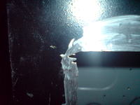 Początek tuningu obudowy. Moze cos doradzicie.