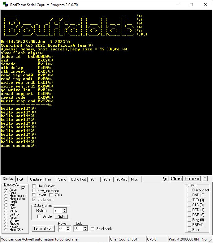 RealTerm interface showing program output from a Bouffalolab board