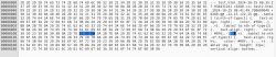 Code Comparison in Hex Editor Differences in code in a hex editor using diff example.