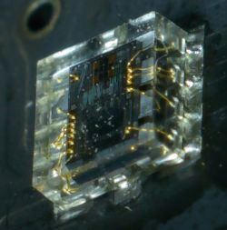 Makro zbliżenie małego układu elektronicznego w przezroczystej obudowie z widocznymi złotymi połączeniami.