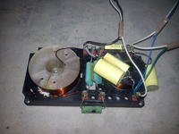 Tonsil Menuet 200 - cewka, zwrotnica