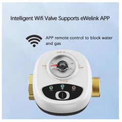 Smart WiFi valve with remote control function