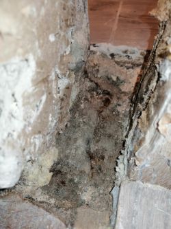 Moisture Issue under Floor & Socket Smell - Help with Door Frame, Skirting Boards & Damp Walls Moisture Issue under Floor & Socket Smell - Help with Door Frame, Skirting Boards & Damp Walls