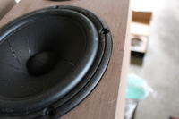 2way Wavecor TW030WA05 + ScanSpeak Revelator 18W4531G00 2way Wavecor TW030WA05 + ScanSpeak Revelator 18W4531G00
