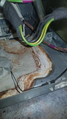 Miele AURIN W3732 - gdzie znaleźć fartuch lub usunąć osad?