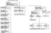 dynamic01 instrukcja montazu