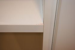 Worms in kitchen cabinets, food ...