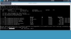 Instalacja VeraCrypt na Debianie (Whonix) - veracrypt-1.25.9-Debian-11-amd64.deb