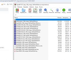 Screenshot of a file management program showing a list of various files and their details.