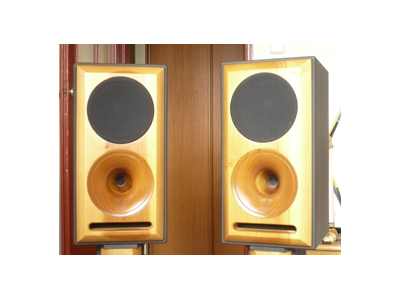 Jakie głośniki 25cm polecacie?