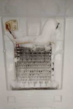 Lodówka Samsung RF62HERS - lód na tylnej ścianie chłodziarki Lodówka Samsung RF62HERS - lód na tylnej ścianie chłodziarki