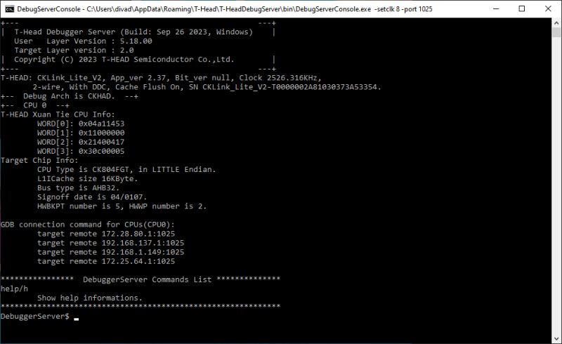 DebugServerConsole with T-HEAD Debugger Server Information DebugServerConsole window displaying T-HEAD Debugger Server and T-HEAD XuanTie CPU parameters.