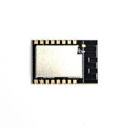 Electronic module with metallic cover and gold pins.