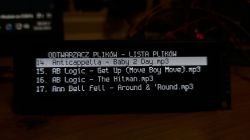 Display showing a list of audio files with the file Anticappella - Baby 2 Day.mp3 highlighted.