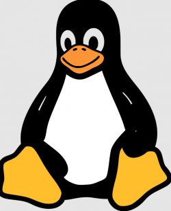 Grafika przedstawiająca maskotkę Tux, pingwina będącego symbolem systemu operacyjnego Linux.