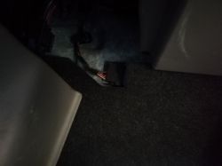 Fiat Panda 2004 - Installation of the cigarette lighter, from which block to con Fiat Panda 2004 - Installation of the cigarette lighter, from which block to con