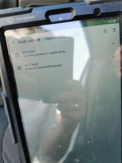 Renault TRAFIC 2008 2.0 dci 90hp - Kontrolka świec żarowych