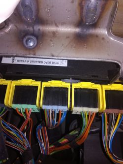 Ford Fusion 2005 - Moduł komfortu i centralny zamek zdalnie sterowany