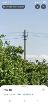 Słup energetyczny z trzema przewodami widoczny nad drzewami na tle nieba