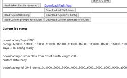 Screenshot of a tool interface downloading data from Tuya and Beken chips.
