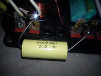 Tonsil Menuet 200 - cewka, zwrotnica