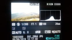 Nikon D3000 i AF-S NIKKOR 18-55mm - wszystkie tryby oprócz portretu prześwietlają zdjęcia