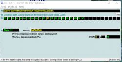 Oprogramowanie do kodowania sterownika samochodowego, z widocznym kodem i ustawieniami.