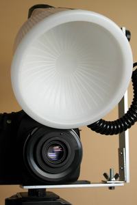 Fotografia makro za niewielkie pieniądze - adaptacja szkieł M42. Fotografia makro za niewielkie pieniądze - adaptacja szkieł M42.