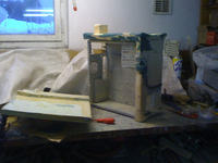 Withered Tree by Good-mod